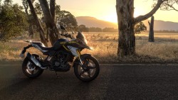 G 310 GS - Edition 40 Years GS