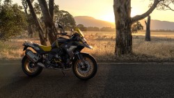 R 1250 GS – Edition 40 Years GS